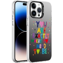 Apple iPhone 14 Pro Uyumlu Desenli Silver Sert Kapak - You