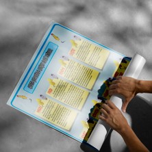 Sınıf Sepeti Gazete Çevresinde Gelişen Edebi Metinler Posteri - PO354