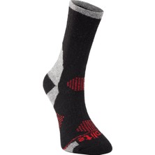 Evolite Alpen Merino Çorap