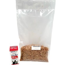 ANS 25 gr Gammarus ve Kabuk Kalitesi Arttırıcı