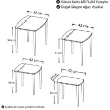 Wenus Home 3'lü Mdf'lam Zigon Sehpa Ceviz-Siyah