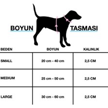 Lusi Doog Kişiye Özel Köpek Boyun Tasması Isme Özel Köpek Tasması Isimli Köpek Tasması ve Gezdirme Kayışı Seti