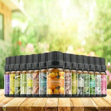 Mingjinshop3 Papatya Tarzı 10ML Suda Çözünür Aromaterapi Uçucu Yağ Doğal Bitki Uçucu Yağ Nemlendirici Aromaterapi Taş Ev Kokuları (Yurt Dışından)