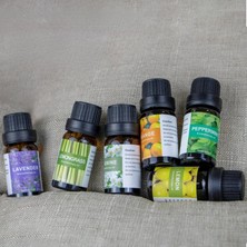 Mingjinshop3 Papatya Tarzı 10ML Suda Çözünür Aromaterapi Uçucu Yağ Doğal Bitki Uçucu Yağ Nemlendirici Aromaterapi Taş Ev Kokuları (Yurt Dışından)