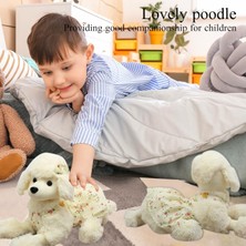 Szjiede 11.8 "kaniş Doldurulmuş Hayvan Peluş, Çocuklar Için Köpek Peluş Oyuncak Köpek Yastık Beyaz (Yurt Dışından)