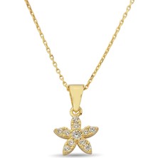 ÇGK KUYUMCULUK Yıldız Altın Kolye CGKKKLY042