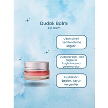 Eva Lucria Vegan Dudak Balmı