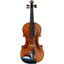 Kinglos Keman 4/4 Kutulu - Ön Ladin, Arka ve Yanlar Akçaağaç