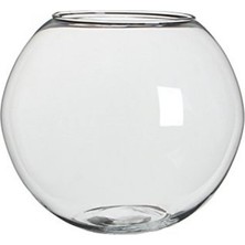 Dayıpet Büyük Boy Cam Fanus