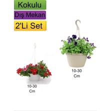 Serada Decor Plant 2'li Set Kırmızı+ Mor Renkli Petunya Çiçeği