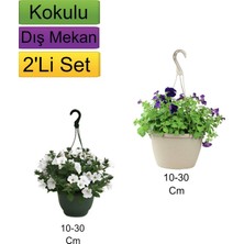 Serada Decor Plant 2'li Set Beyaz+ Mor Renkli Petunya Çiçeği