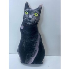 Nishev 3D Dijital baskılı kedi yastık EGE KEDİSİ