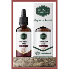 Kent Bahçesi Sarımsak Yağı 30 ml Soğuk Sıkım %100 Saf Doğal ve Katkısız Garlic Carrier Oil