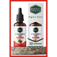 Kent Bahçesi At Kestanesi Yağı 30 ml %100 Saf Doğal ve Katkısız Horse Chestnut Oil