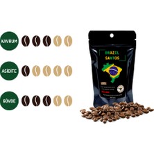 Beanland Coffee Brazil Santos Fine Cup 50 gr