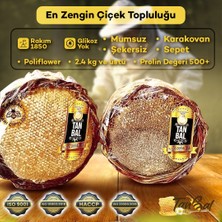 Tanbal Arı Çiftliği Mumsuz Şekersiz Sepet Bal Daha Orjinali Yok 2kg-2.5 ve üstü