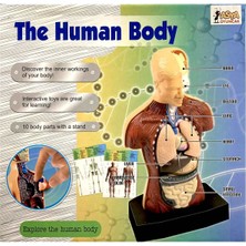 The Human Body Insan Vücudu 3D Eğitim Seti 3301