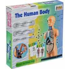 The Human Body Insan Vücudu 3D Eğitim Seti 3305