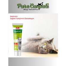 Purecanpati Kedi Dermacat,diş Macunu,multivitamin Seti