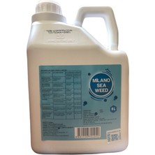 Feras Kimya Milano Sea Weed 5 Lt Deniz Yosunu