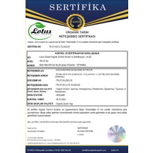 İdalina Delice  Zeytinyağı