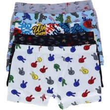 Kota 1013 Erkek Çocuk Renkli Desenli Boxer 6 Adet