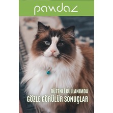 Pawdaz Dermadrop - Deri ve Tüy Sağlığını Destekleyen Damla (Biotin, Çinko, B Vitaminleri) Kedi