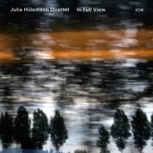 In Full Vıew-Cd