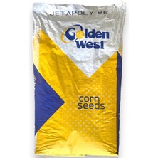 Golden West Jetapoly Silaj Mısır Tohumu 50.000 Adet