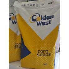 Golden West Jetapoly Silaj Mısır Tohumu 50.000 Adet