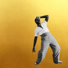 Gold-Dıggers Sound-Cd