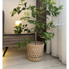 Woodhub Haki Ev Dekorasyon Hasır Saksılık Ofis Balkon Salon Aksesuarı Saksı 28 cm Doğa Hasır 1