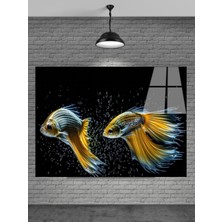 Meta Cam Metacam 3D Balıklar Cam Tablo