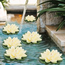 Kigiwaa 6 Adet Yapay Yüzen Köpük Lotus Çiçekleri, Nilüfer Pedi Süsleri Ile, Beyaz, Veranda Gölet Havuzu Akvaryum Ev Bahçe Düğün Özel Etkinlik Dekorasyon Için Mükemmel (Yurt Dışından)