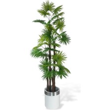 Nettenevime Yapay Ağaç Yelpaze Palmiye 4katlı Fanpalm 32 Yaprak Gümüş Kemerli Beyaz Saksıda 170*65CM