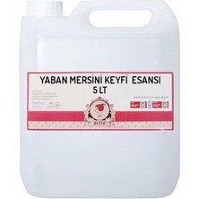 Elito Yaban Mersini Keyfi Esansı 5 Lt