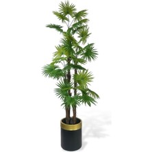 Nettenevime Yapay Ağaç Yelpaze Palmiye 4katlı Fanpalm 32 Yaprak Altın Kemerli Siyah Saksıda 170*65CM