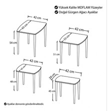 Wenus Home 4'lü Mdf'lam Zigon Sehpa Kahverengi