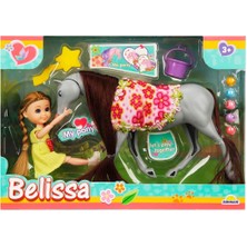 Belissa’nın Süslü Atı 53808 - Gri At