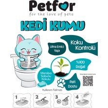 Petfor 20 Lt Marsilya Sabunlu Kedi Kumu