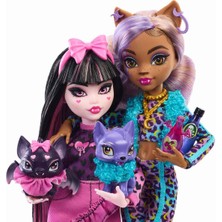 Monster High Ürpertastik Dostlar Bebekleri 2'li Paket HNP96