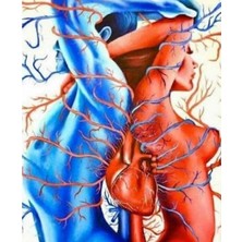 Emos avm Hobby Derin Bağ Sayılarla Boyama Seti  Rulo