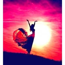 Emos avm Canvas Ferahlamak Sayılarla Boyama Seti  Kasnaklı