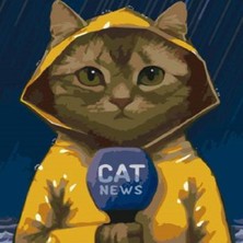 Emos avm Canvas Muhabir Kedi Sayılarla Boyama Seti   Kasnaklı