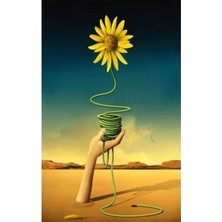 Emos avm Hobby Arnika Sayılarla Boyama Seti  Rulo