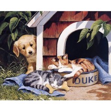 Emos avm Canvas Sevimli Dostlar Boyama  Seti  Kasnaklı