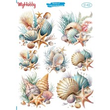 My Hobby St 433 Marin, Deniz Yıldızı, Midye, Mercan Desenli, Sulu Transfer 25X35