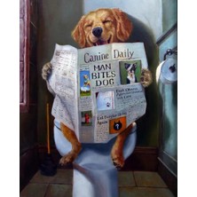 Emos avm Canvas Gazete Okuyan Köpek Sayılarla Boyama Seti  Kasnaklı