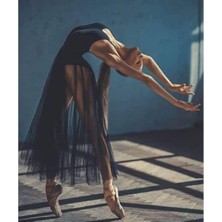 Emos avm Canvas Siyah Balerin Sayılarla Boyama Seti  Kasnaklı