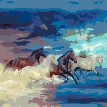 Emos avm Canvas Atların Hedefi Sayılarla Boyama Seti   Kasnaklı